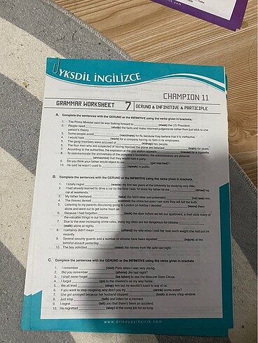  Beden dilko grammar worksheet
