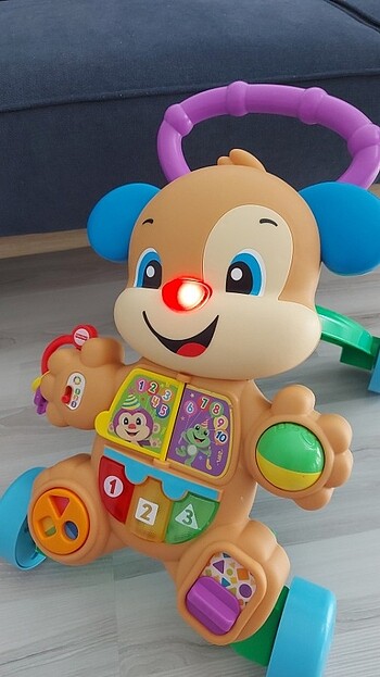 Beden Fisher Price Eğitici Köpekçik