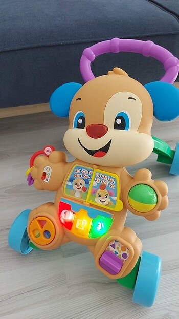 Beden Renk Fisher Price Eğitici Köpekçik