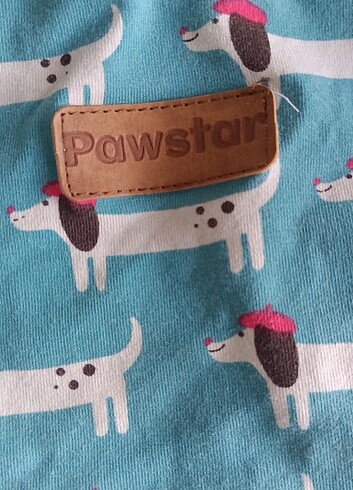 Pawstar kedi köpek kıyafeti  - Görsel 3