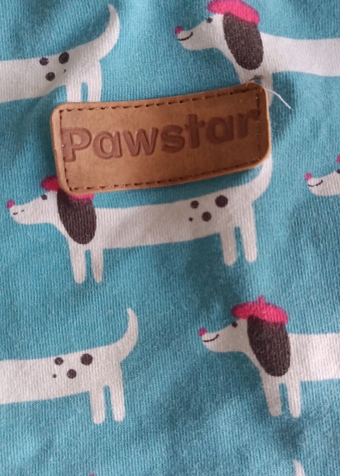 Pawstar kedi köpek kıyafeti  - Görsel 3