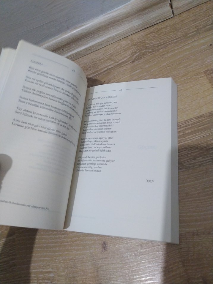 Cemal Süreya - Sevda Sözleri - Görsel 5