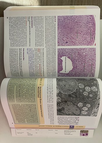  Histoloji Konu Anlatımı ve Atlas Kitabı
