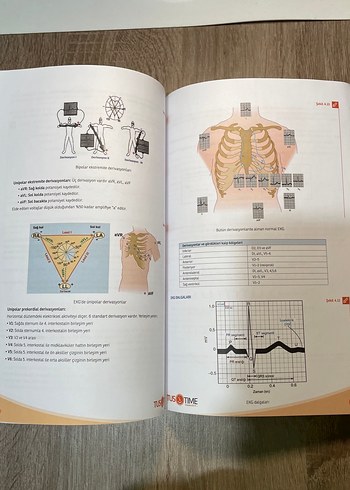 Komitime Fizyoloji Tustime - Görsel 5