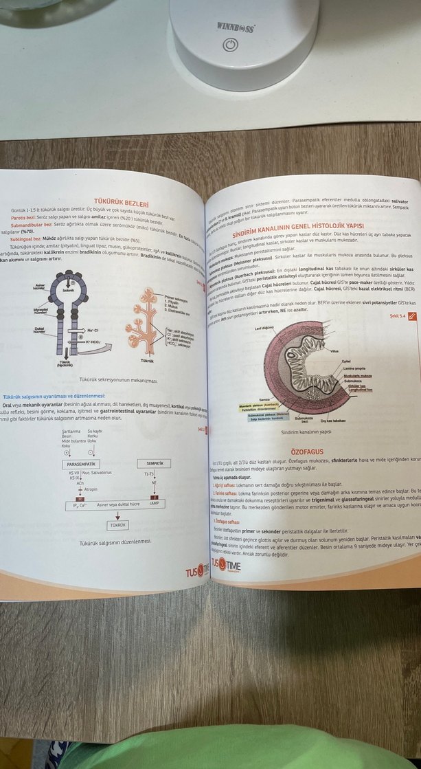 Komitime Fizyoloji Tustime - Görsel 3