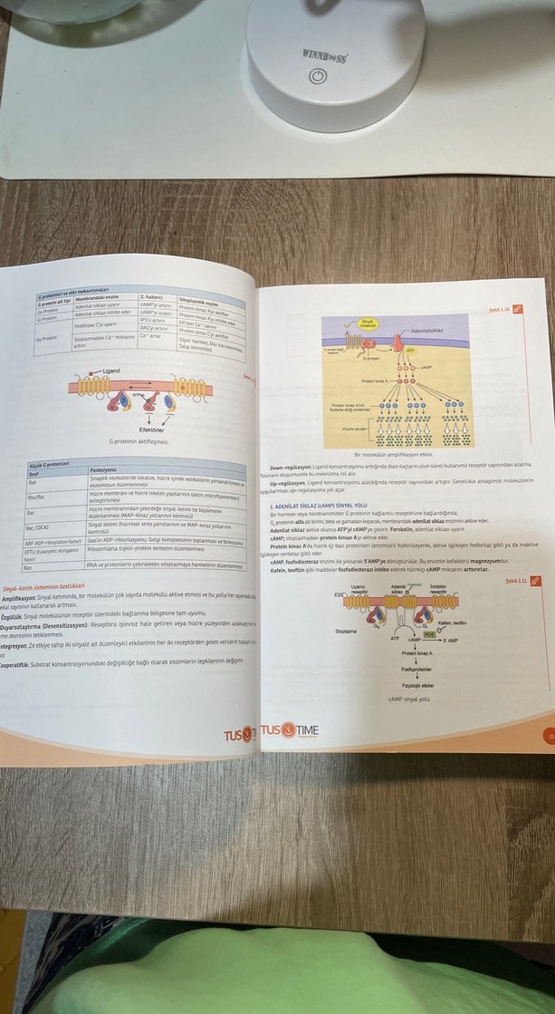 Komitime Fizyoloji Tustime - Görsel 2