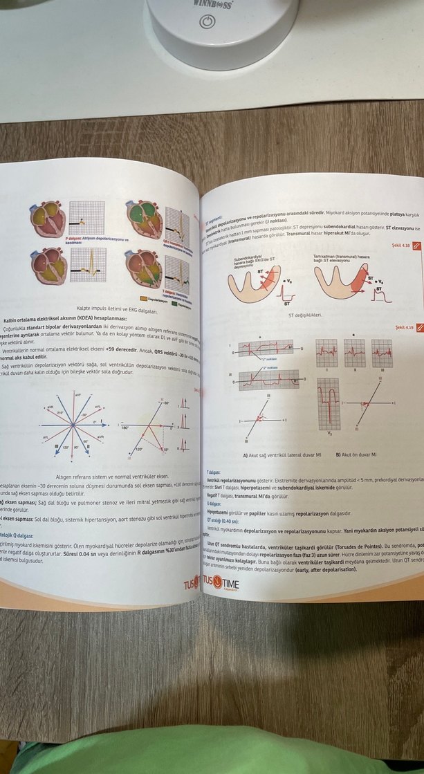 Komitime Fizyoloji Tustime - Görsel 4