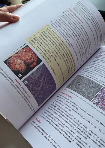 TUSEM Patoloji ve Fizyoloji Kitapları - Görsel 5