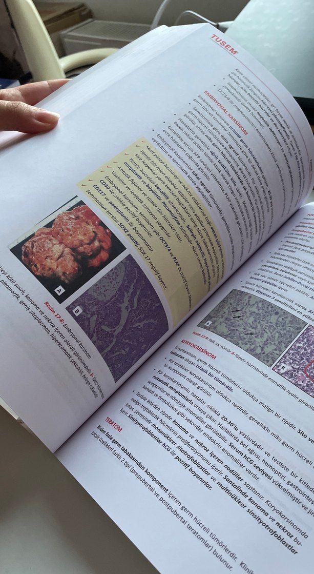 TUSEM Patoloji ve Fizyoloji Kitapları - Görsel 5