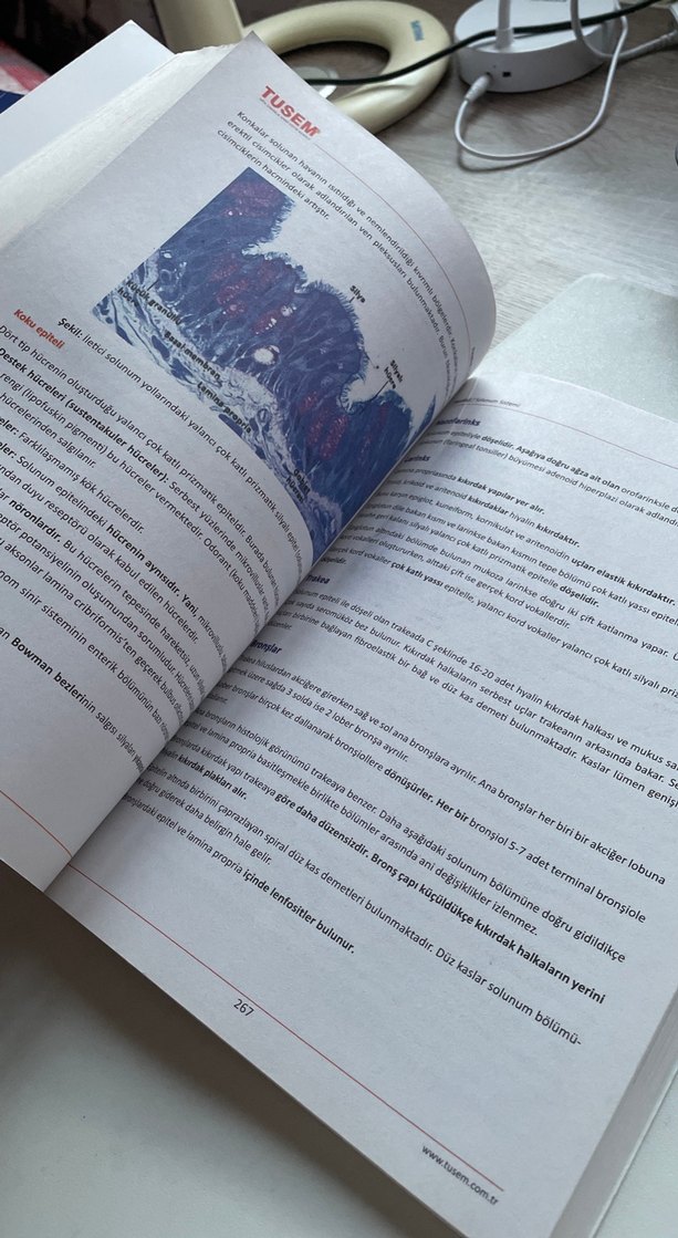 TUSEM Patoloji ve Fizyoloji Kitapları - Görsel 2