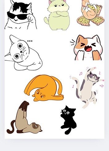 Sticer