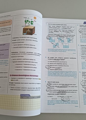 Beden Renk 9. Sınıf Biyoloji konu anlatım fasikülü