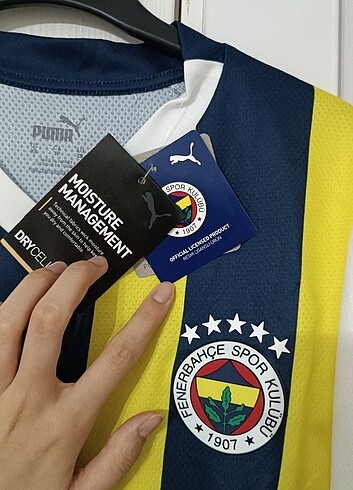 Fenerbahçe forması 