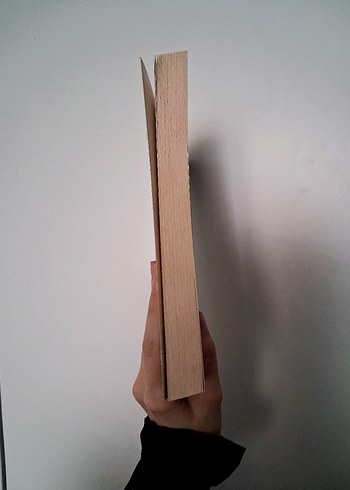 Thomas Bulfinch Klasik Yunan ve Roma mitolojisi kitap - Görsel 4