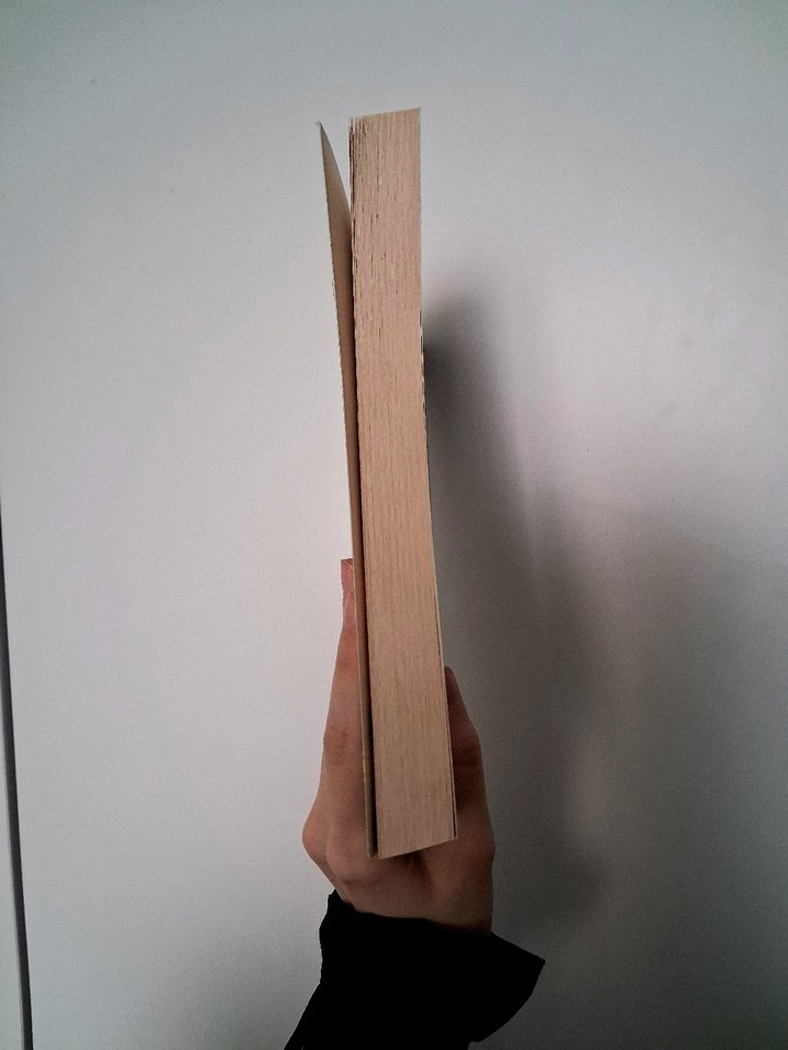 Thomas Bulfinch Klasik Yunan ve Roma mitolojisi kitap - Görsel 4