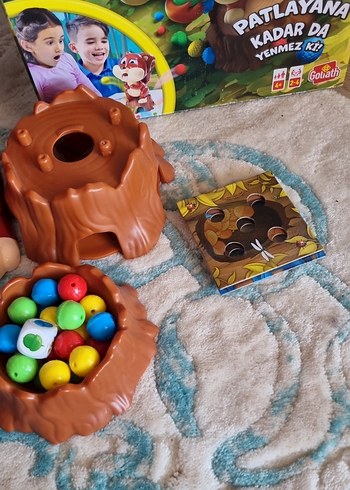 Beden Renk Obur Sincap Eğitici Renkli Oyuncak