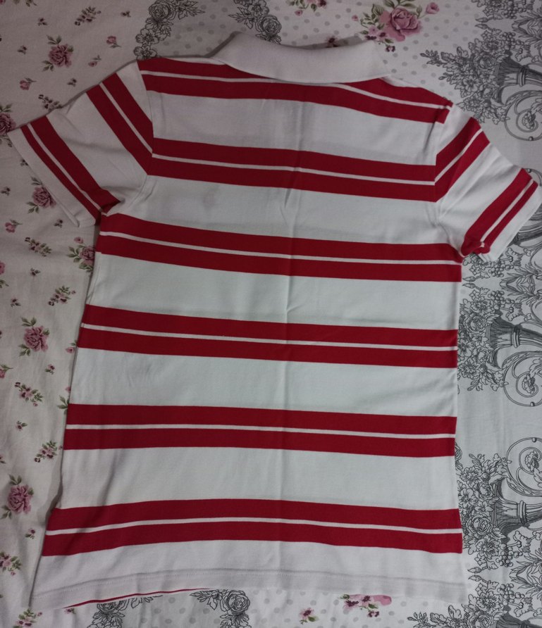 Erkek Kırmızı Çizgili Polo Tişört - Görsel 2