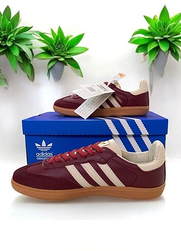Adidas Adidas Samba - Bordo - No 37