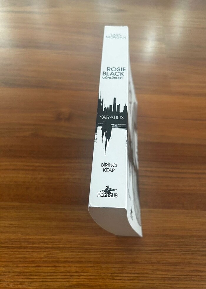 Rosie black günlükleri - Görsel 3