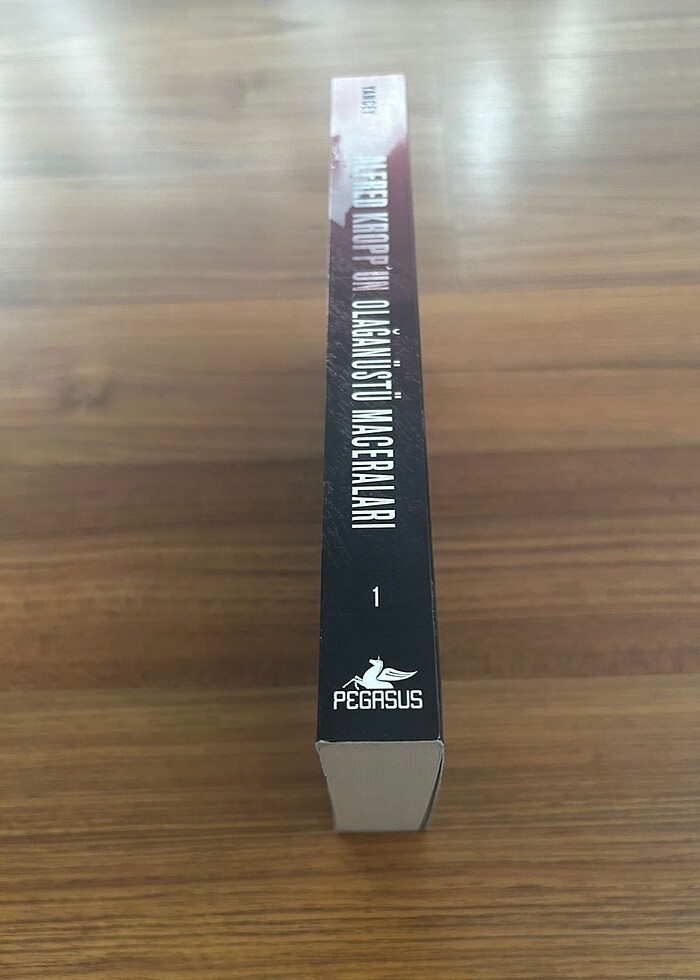 Alfred Kropp?un olağanüstü maceraları - Görsel 3