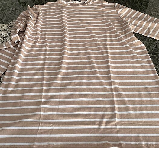 SUUD COLLECTION BODY