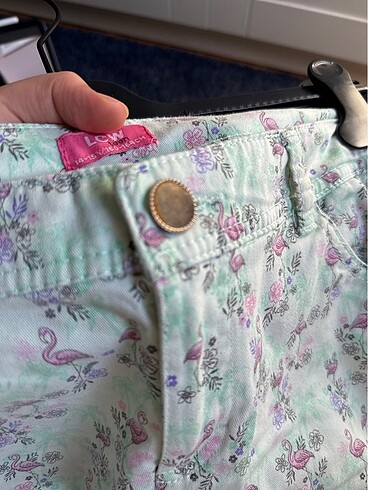 Lc Waikiki Şort - Görsel 6