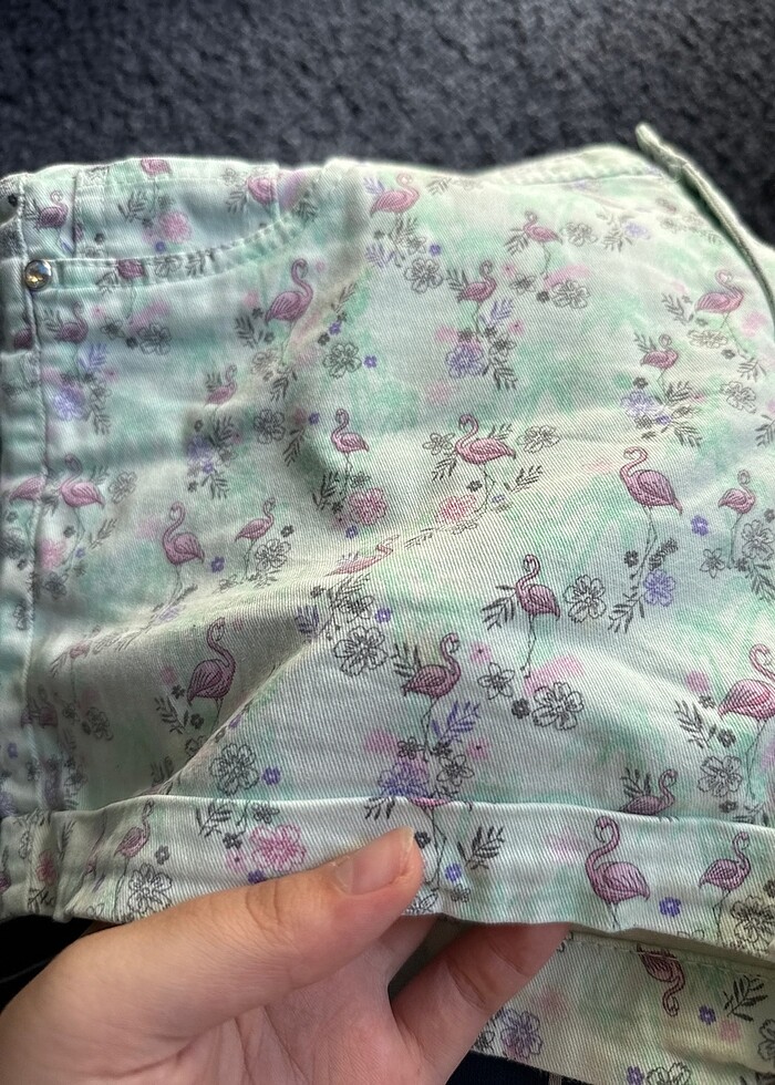 Lc Waikiki Şort - Görsel 3