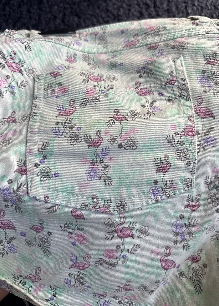 Lc Waikiki Şort - Görsel 4