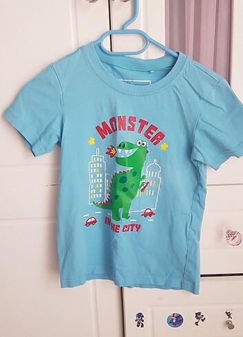 Diğer Erkek çocuk tshirt