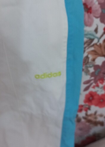 Adidas kisa pantolon