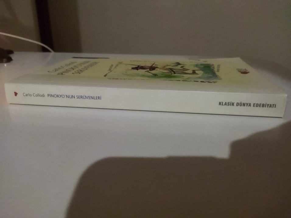 Pinokyo'nun Serüvenleri - Görsel 2