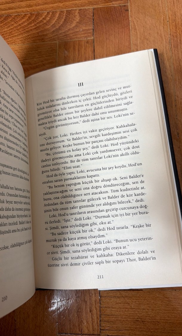 İskandinav Mitolojisi - Neil Gaiman - Görsel 2