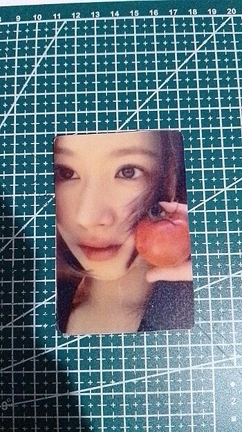 Tomato sana fanmade pc 