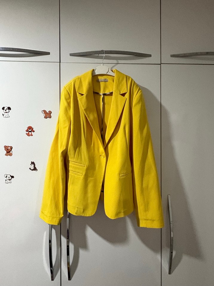 Sarı  Kadın Blazer Ceket - Görsel 2