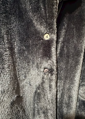 Siyah kürk - Görsel 5