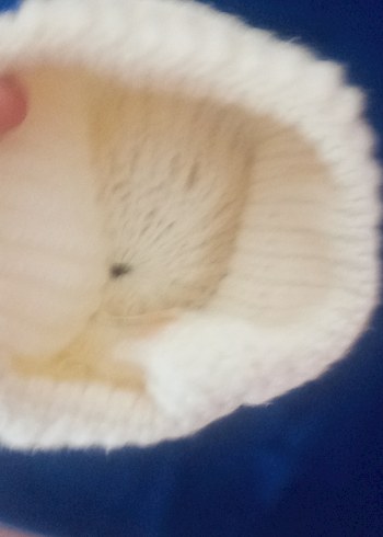 Beyaz Örgü Kadın Bere Ponponlu - Görsel 3