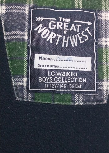 Parlak Yeşil Erkek Çocuk Fermuarlı Ceket - Görsel 4