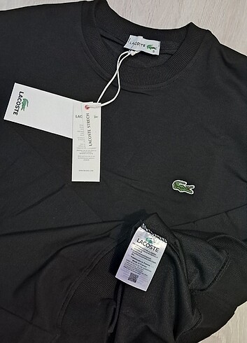Lacoste LACOSTE 