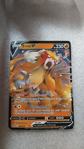 Pokemon gerçek serisi enteiv