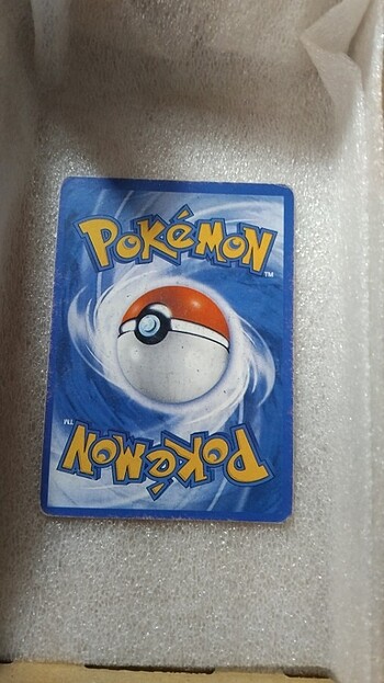  Beden Pokemon gerçek serisi enteiv