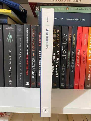 Franz Kafka Şato ithaki yayınları