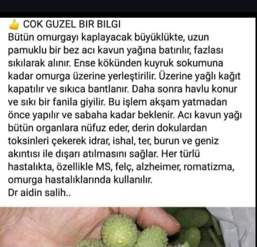 Acıkavun Yağı ( Ebucehil karpuzu, yabani kavun vs. ) 50ml - Görsel 5