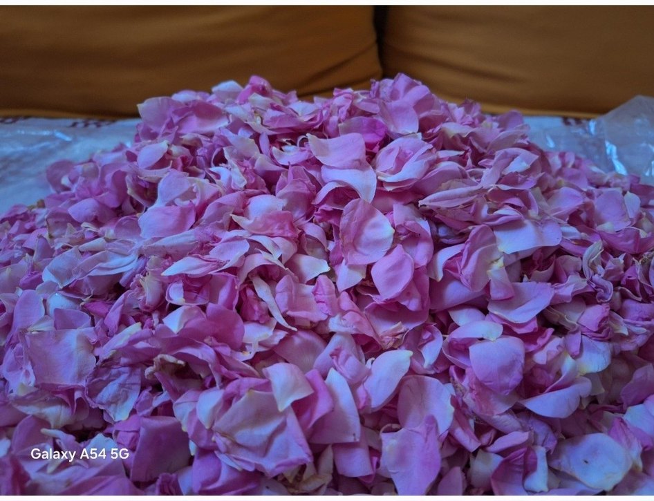 Gül Yağı El Yapımı Distilasyon ile yapılmıştır. 20ml. - Görsel 4