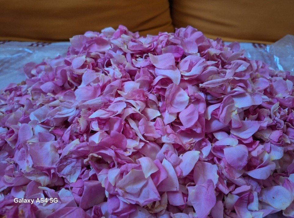 Gül Yağı El Yapımı Distilasyon ile yapılmıştır. 20ml. - Görsel 5