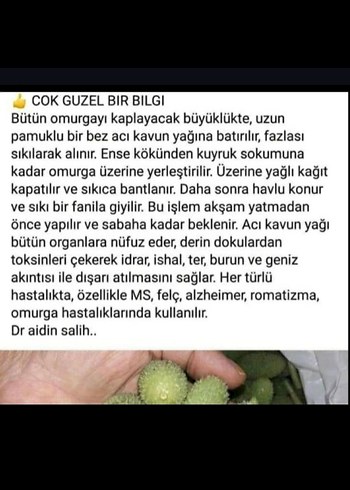 Acı Kavun Yağı - 50ml - Görsel 2