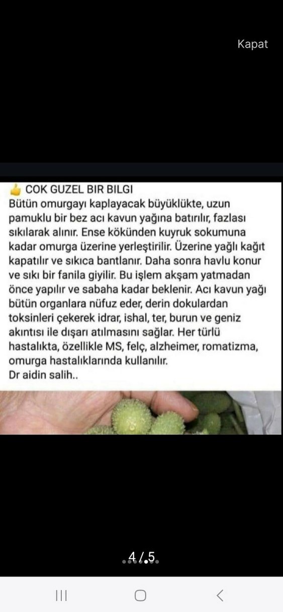 Acı Kavun Yağı - 50ml - Görsel 2