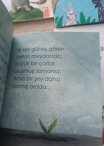 Beden Çocuk Kitapları Seti: 4 Kitap