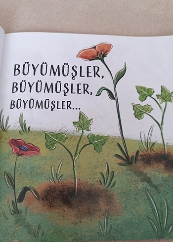 Beden Biri, Diğeri, Öteki, Beriki - Ayşegül Dede