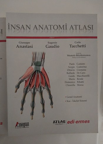 İNSAN ANATOMI ATLASI