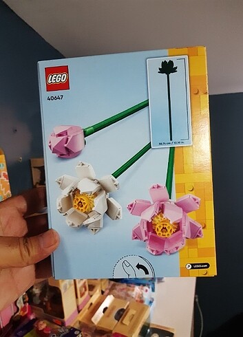 Beden LEGO Iconic Lotus Çiçekleri 40647 - Dekoratif, Koleksiyonluk ve